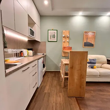 Exceptional Refurnished Location Lägenhet Sofia