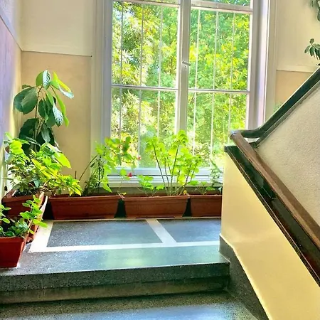 Apartment Exceptional Refurnished Location Sofia