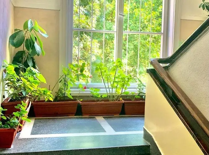 Apartament Exceptional Refurnished Location Sofia