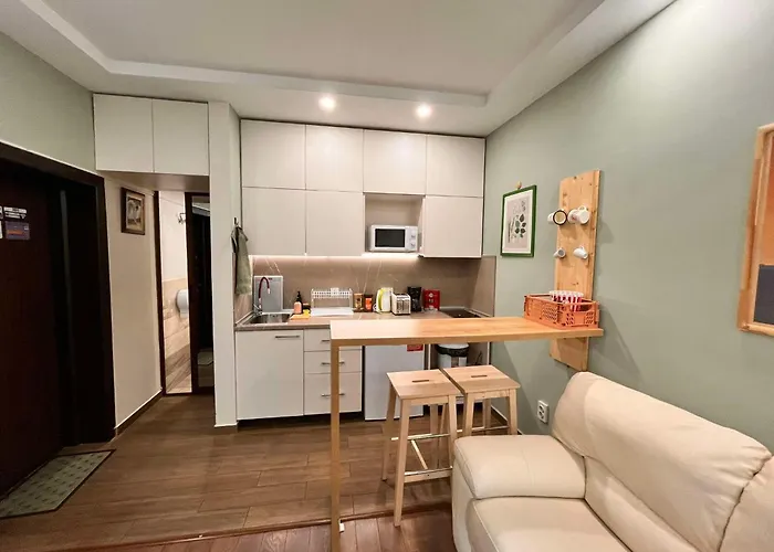 Exceptional Refurnished Location Sofia